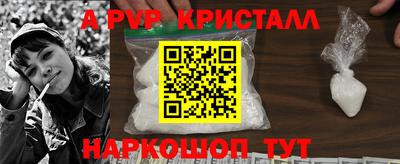 индика Бийск