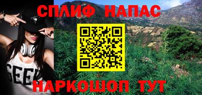 индика Бийск