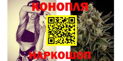 индика Бийск