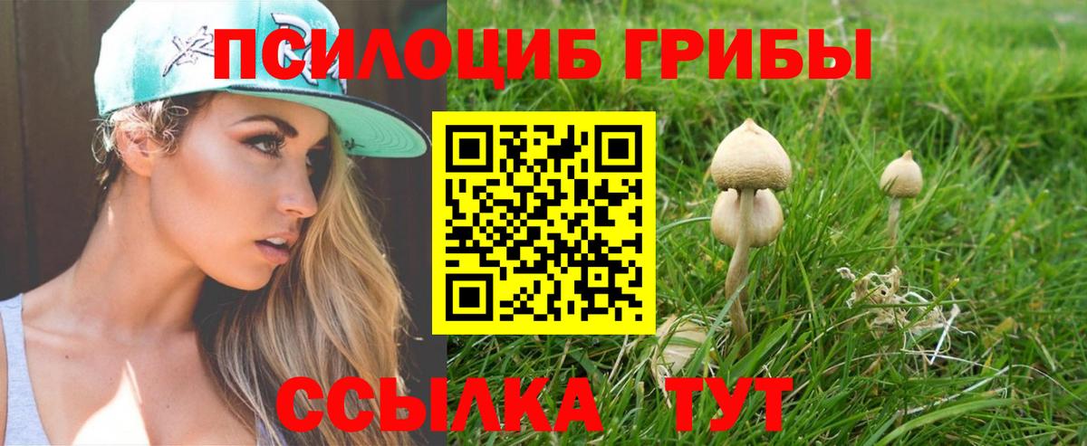 Галлюциногенные грибы GOLDEN TEACHER Зерноград